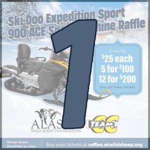 1 Snowmachine Raffle Ticket