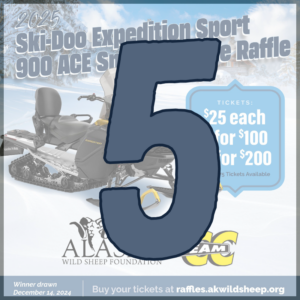 5 Snowmachine Raffle Tickets