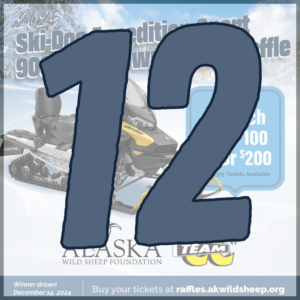 12 Snowmachine Raffle Tickets