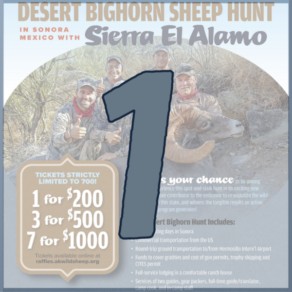 1 Desert Bighorn Hunt Raffle Ticket