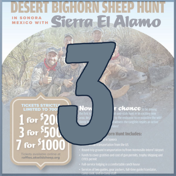 3 Desert Bighorn Hunt Raffle Tickets