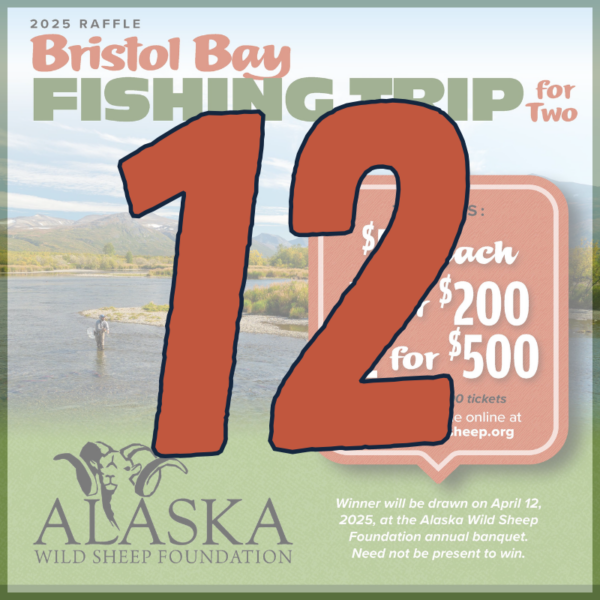 12 Fishing Trip Raffle Tickets