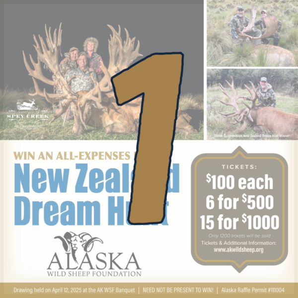 1 New Zealand Dream Hunt Raffle Ticket