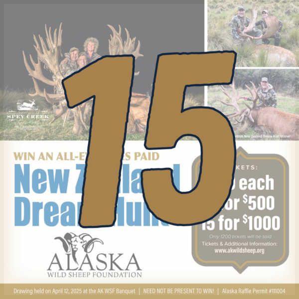 15 New Zealand Dream Hunt Raffle Tickets