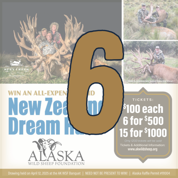 6 New Zealand Dream Hunt Raffle Tickets