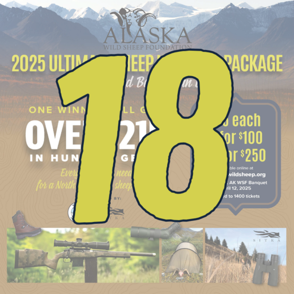 18 Ultimate Sheep Hunter Package Raffle Tickets