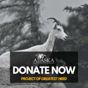 Donation-Area of Greatest Need