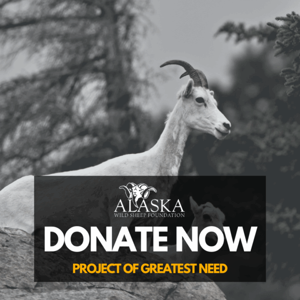 Donation-Area of Greatest Need