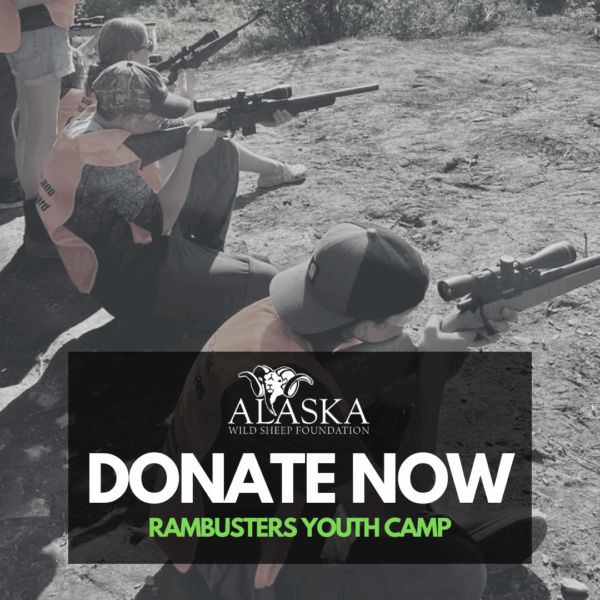 Donation-Rambusters Program
