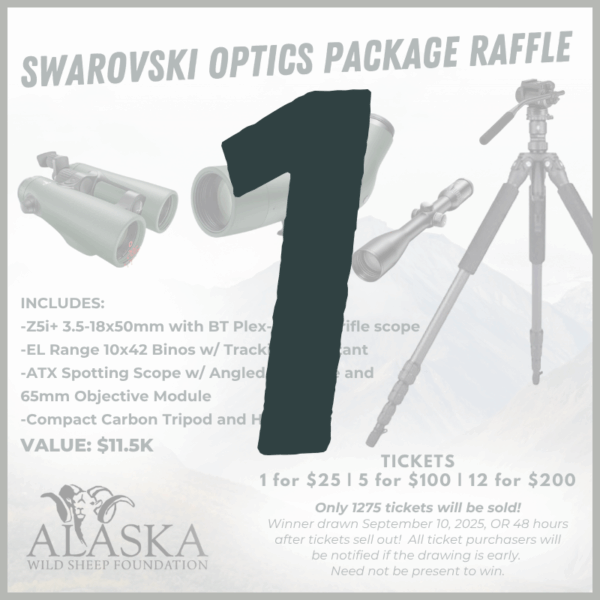 1 Optics Raffle Ticket