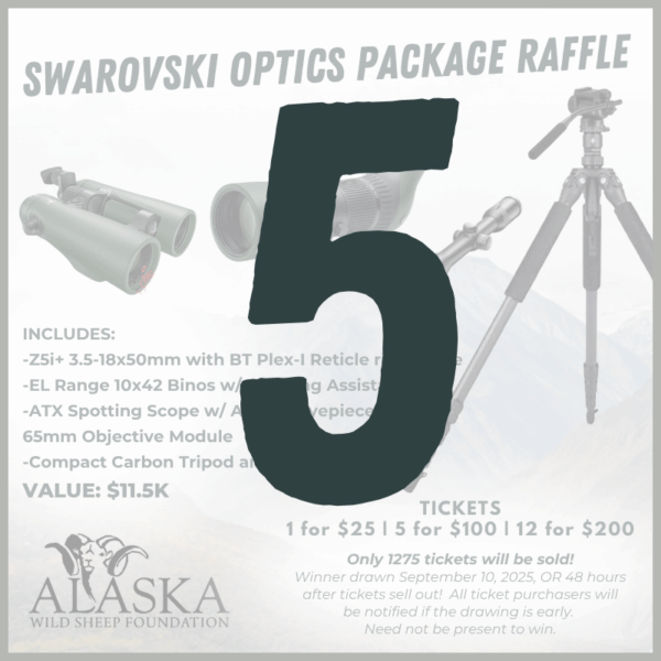 5 Optics Raffle Tickets