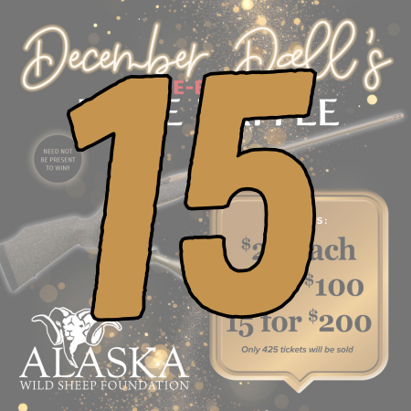 15 Rifle Raffle Tickets
