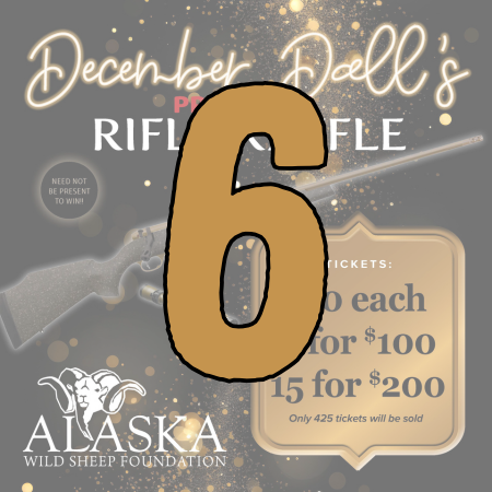 6 Rifle Raffle Tickets