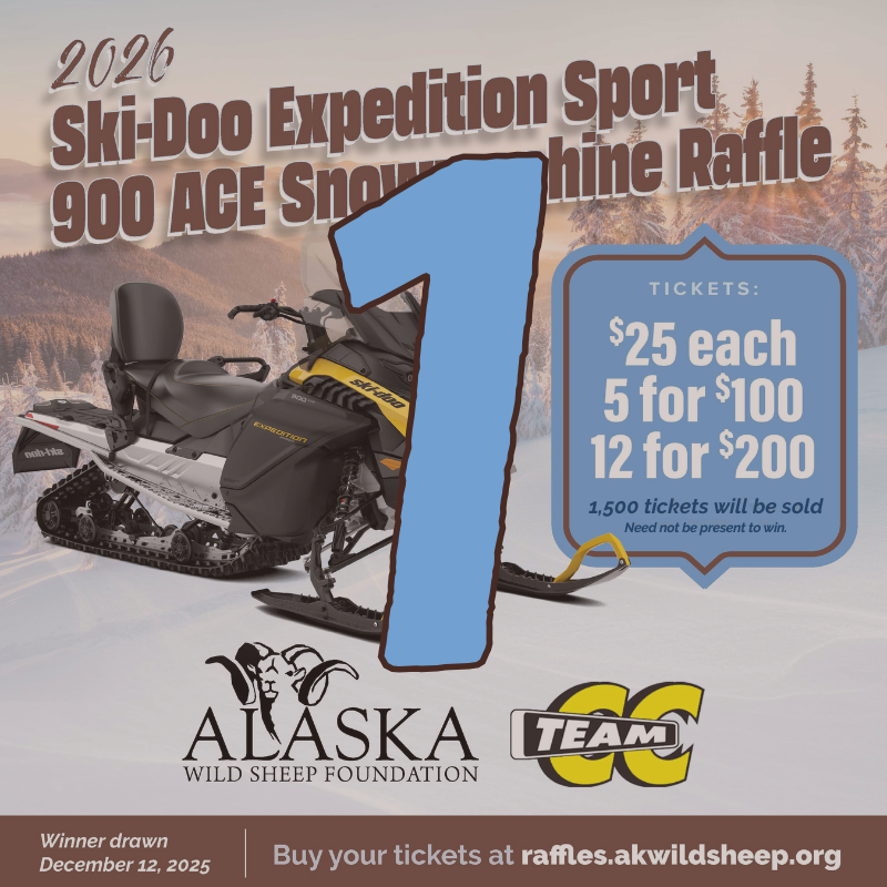 1 Ski-Doo Ticket