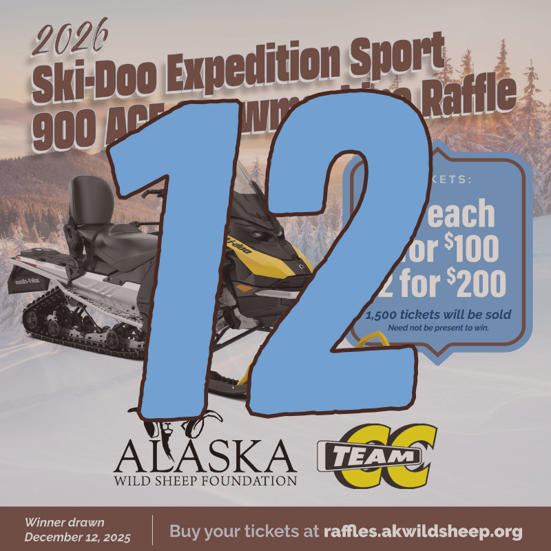 12 Ski-Doo Tickets
