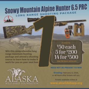 1 Snowy Mountain Rifle Raffle Ticket