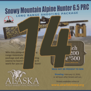 14 Snowy Mountain Rifle Raffle Tickets