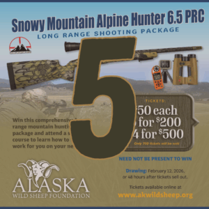5 Snowy Mountain Rifle Raffle Tickets