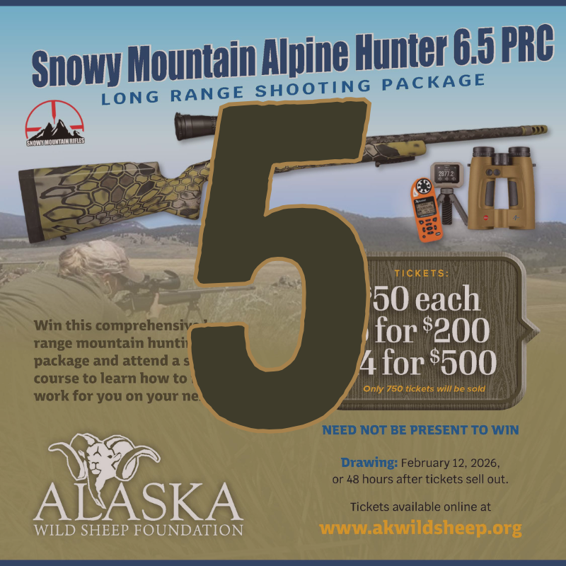 5 Snowy Mountain Rifle Raffle Tickets