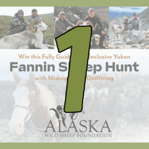 1 Fannin Sheep Hunt Ticket