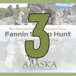 3 Fannin Sheep Hunt Tickets
