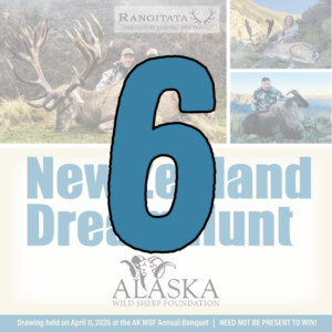 6 New Zealand Dream Hunt Tickets